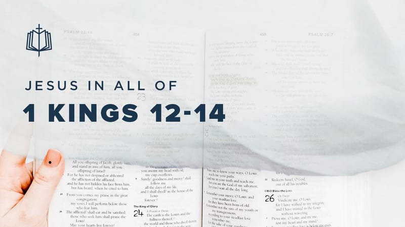 1-kings-12-14-undefined-youversion