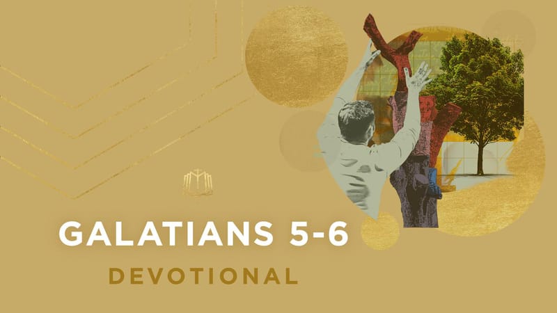 Galatians 5-6 | Videos | YouVersion