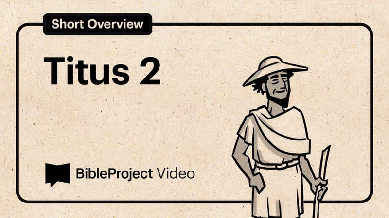 MATERIAL ZU TITUS 2 visual data 4