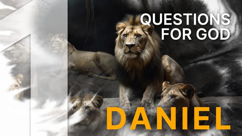 1. Questions for God | Videos | YouVersion