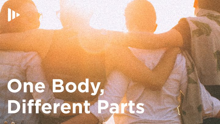 One Body, Different Parts: Devotions From Time Of Grace