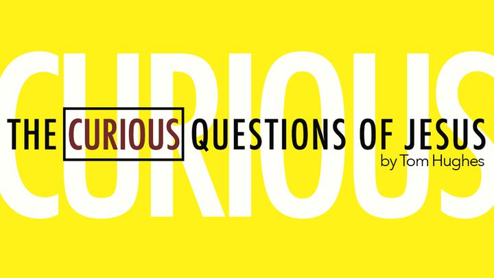 The Curious Questions Of Jesus