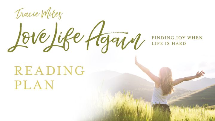 Love Life Again - Finding Joy When Life Is Hard