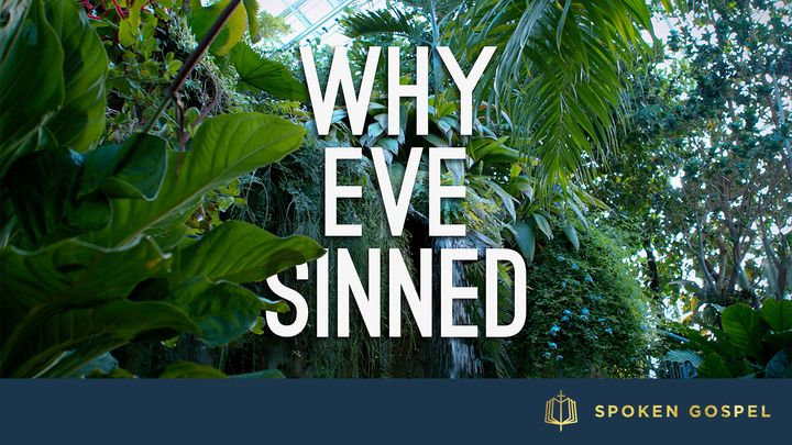 Why Eve Sinned - Genesis 3