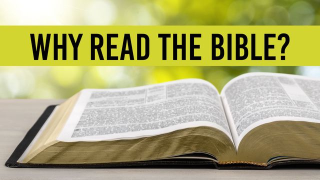 why-read-the-bible-devotional-reading-plan-youversion-bible