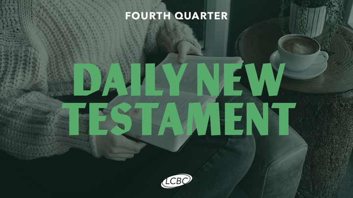 Daily New Testament - Quarter 4