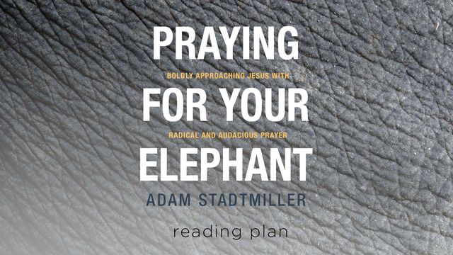 Praying For Your Elephant - Praying Bold Prayers | Devotional Reading ...