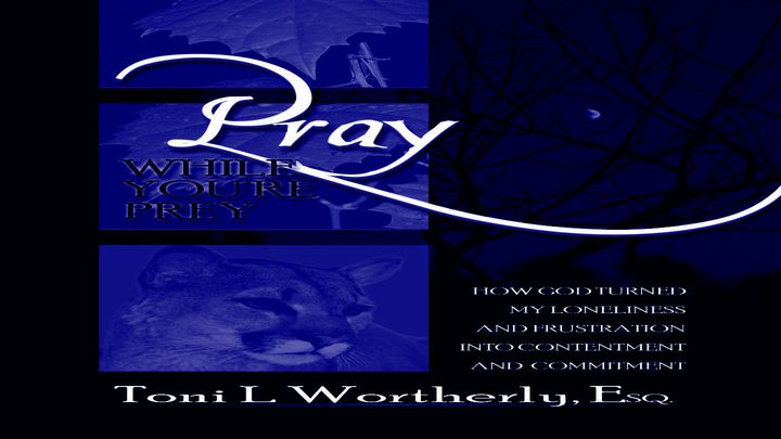 Pray While You Re Prey Devotion Plan For Singles Devotional Reading Plan Youversion Bible