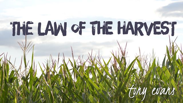 the-law-of-the-harvest-devotional-reading-plan-youversion-bible