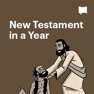 New Testament In One Year