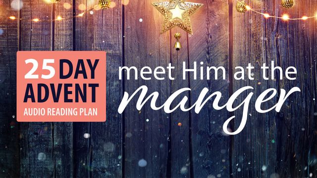 Advent | Meet Him At The Manger by Stuart and Jill Briscoe