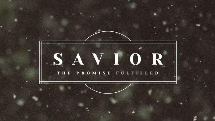 Savior: The Promise Fulfilled