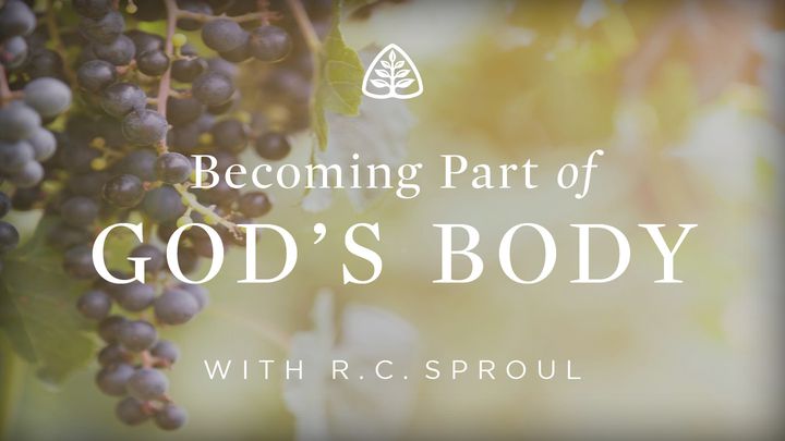 Becoming Part of God's Body