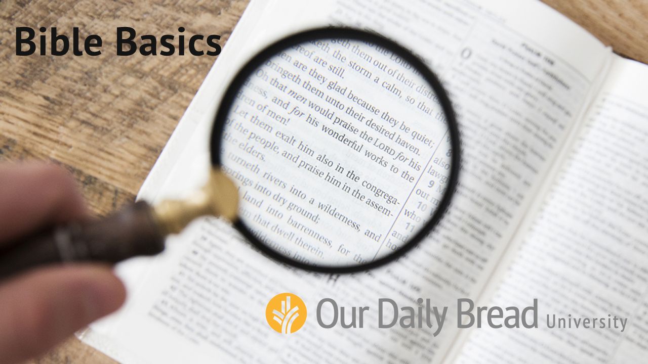Our Daily Bread Bible Basics