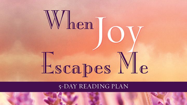 When Joy Escapes Me By Nina Smit