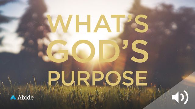 What Is God’s Purpose For My Life Devotional Reading Plan