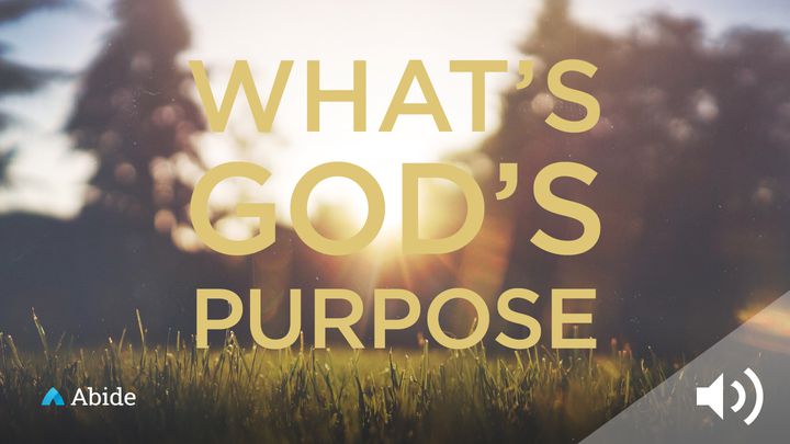 What Is God’s Purpose For My Life?