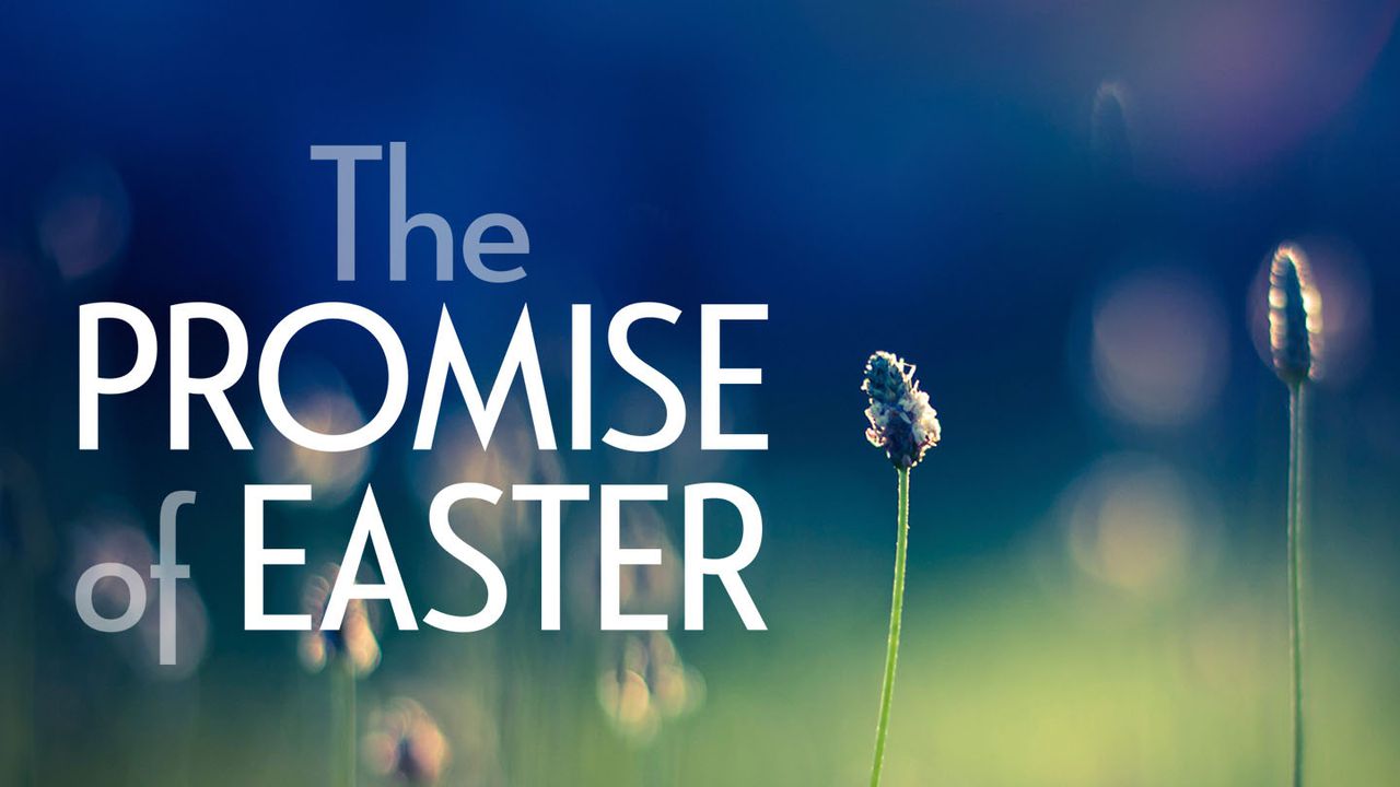Easters Unbreakable Promise Faith And Forgiveness In The Easter Story In The Bible - lz5wl9g