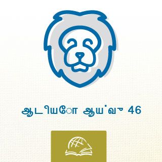 தானியே