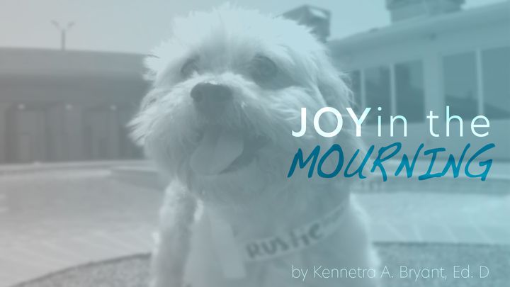 Joy In The Mourning