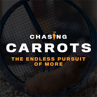 Κυνηγώντας καρότα