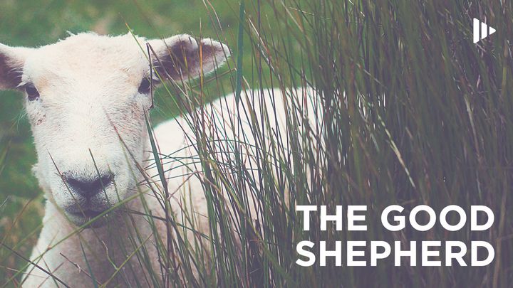 The Good Shepherd: Devotions From Time Of Grace