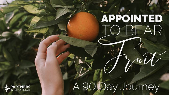 Appointed To Bear Fruit: A 90 Day Journey