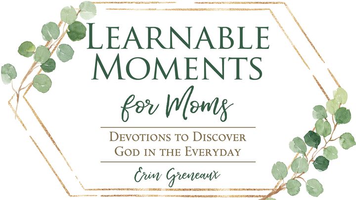 Learnable Moments For Moms: Devotions To Discover God In The Everyday