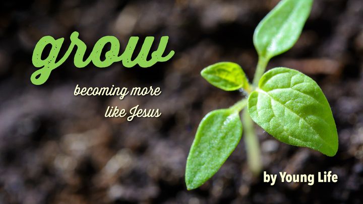 Grow: Becoming More Like Jesus