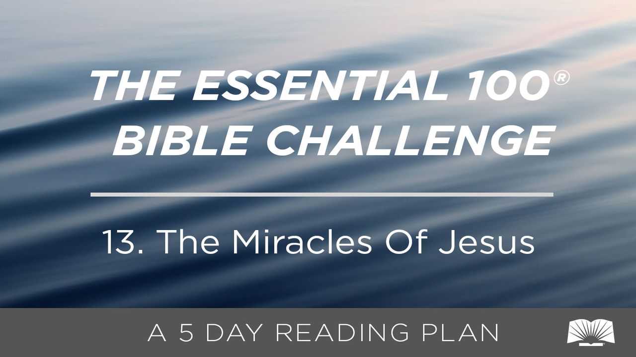 The Essential 100® Bible Challenge–13–The Miracles Of Jesus | La Biblia ...