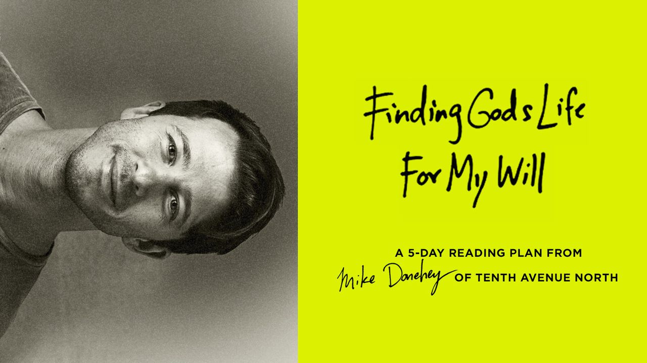 Finding God S Life For My Will Finding God S Life For My Will