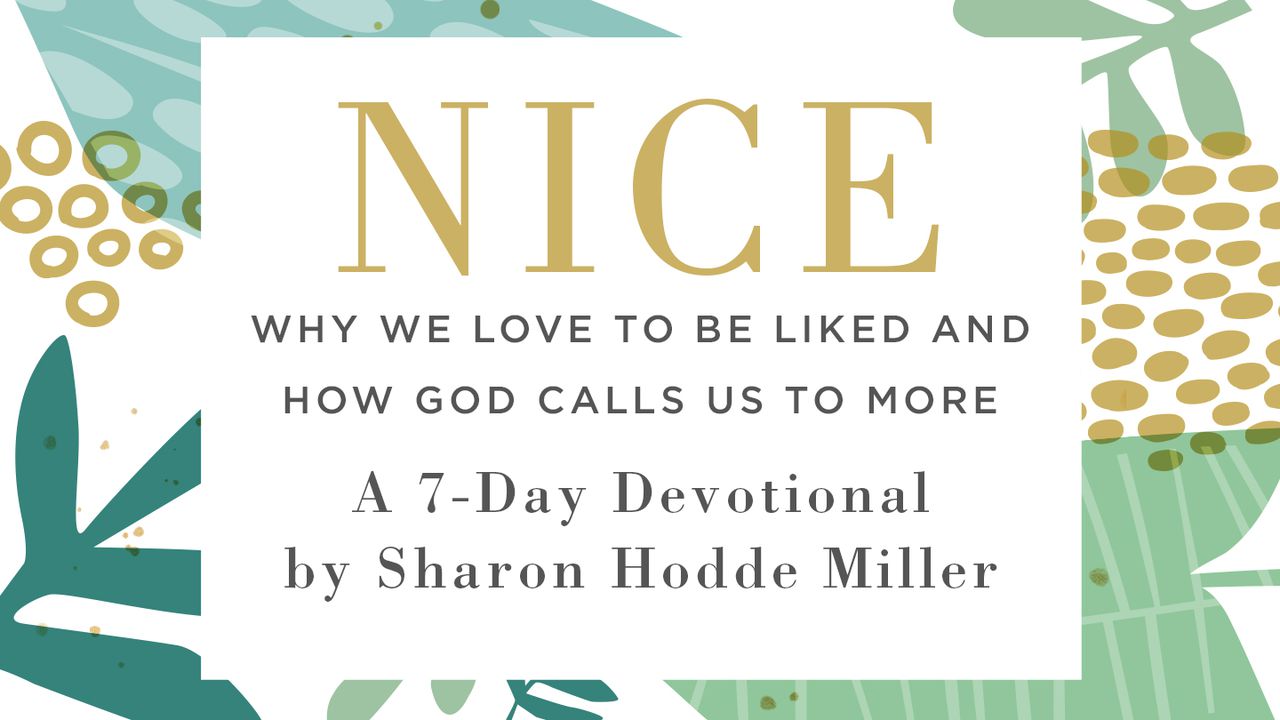 Nice: Why We Love to Be Liked and How God Calls Us to More: Sharon Hodde  Miller: 9780801075247: : Books