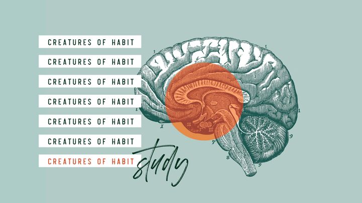 Creatures Of Habit: Study