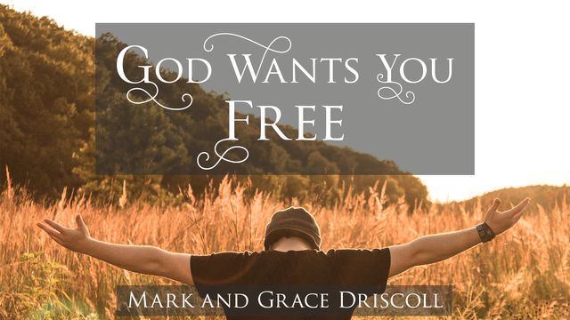 god-wants-you-free-devotional-reading-plan-youversion-bible