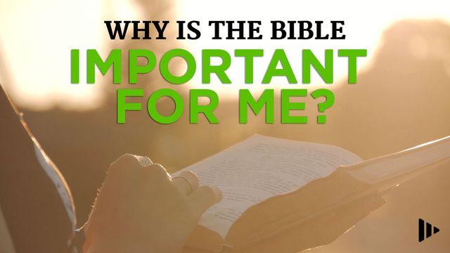 Why Is The Bible Important For Me? Devotions From Time Of Grace ...