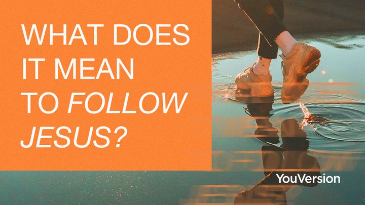 Cosa significa seguire Gesù?