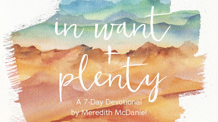 In Want + Plenty by Meredith McDaniel