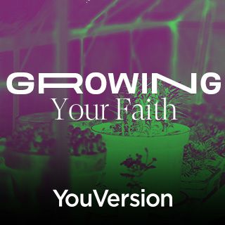 Wzrastanie w wierze