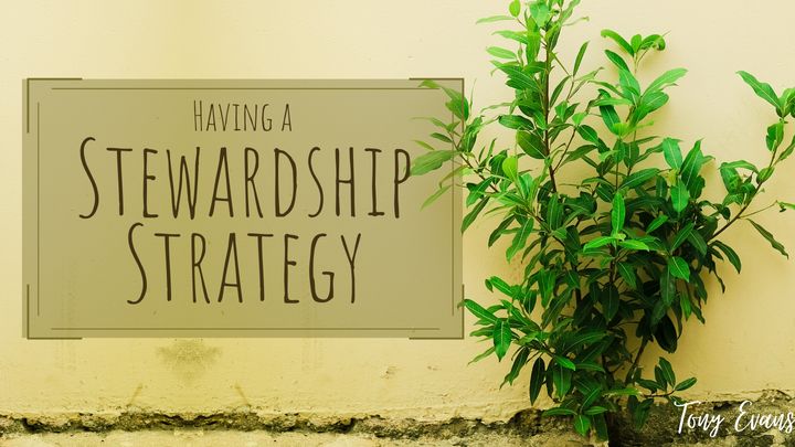 Having a Stewardship Strategy