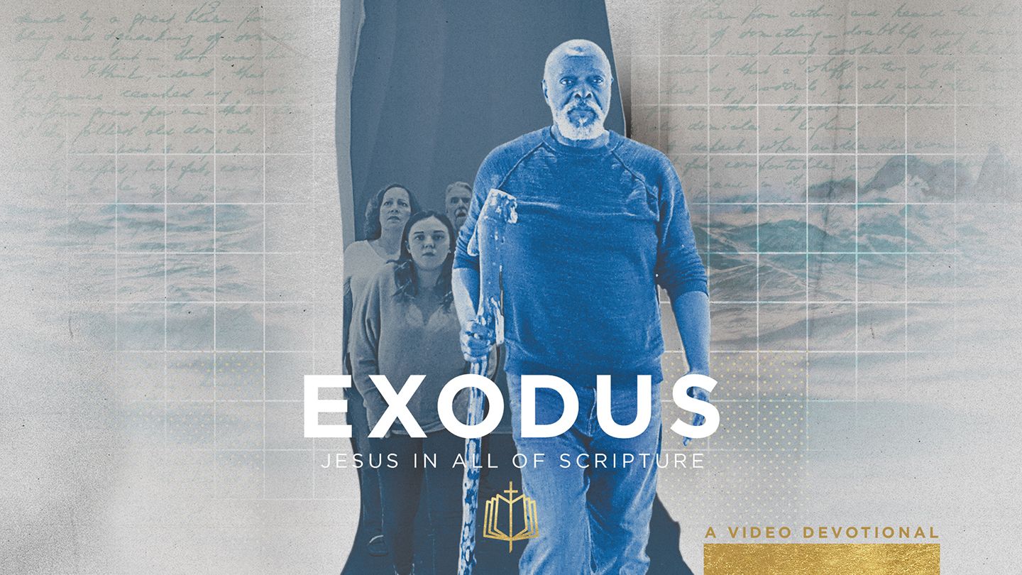 Exodus 25 | NLT Bible - Bible App