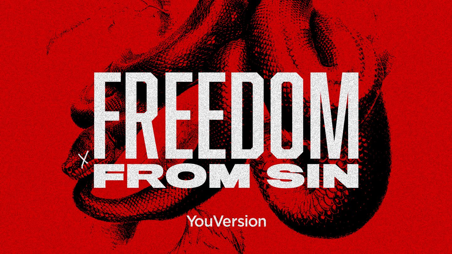 What does it mean to be free from sin?
