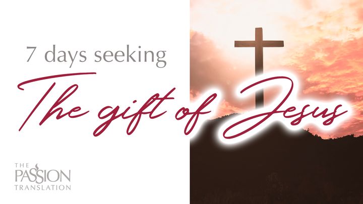 7 Days Seeking the Gift of Jesus