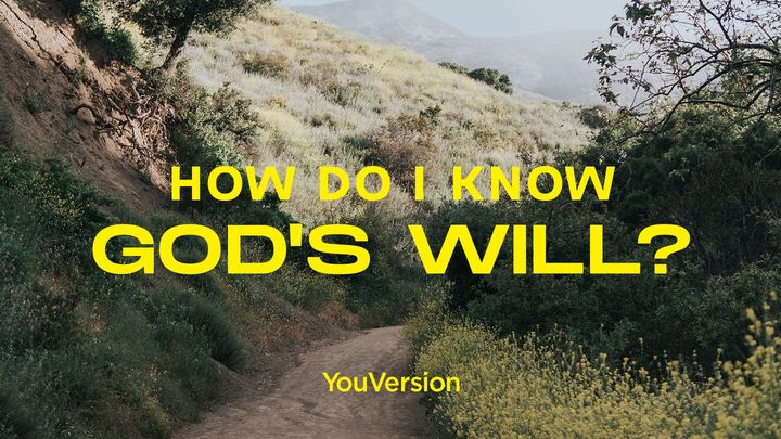 ¿Cómo descubro la voluntad de Dios?