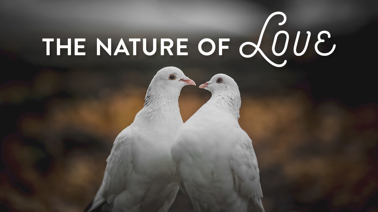 The Nature of Love