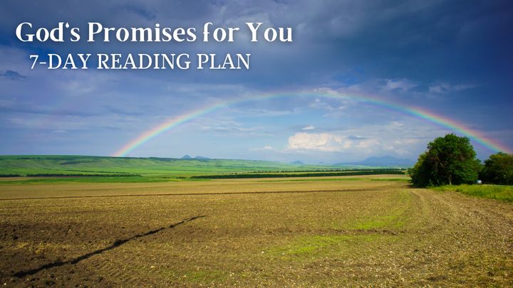 God's Promises For You