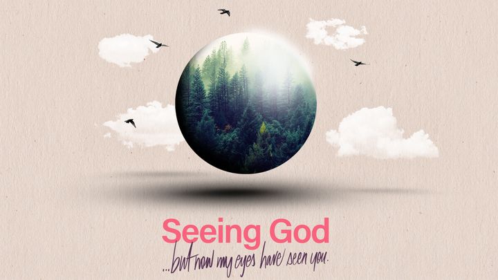 Seeing God: Job’s Suffering and God’s Wisdom
