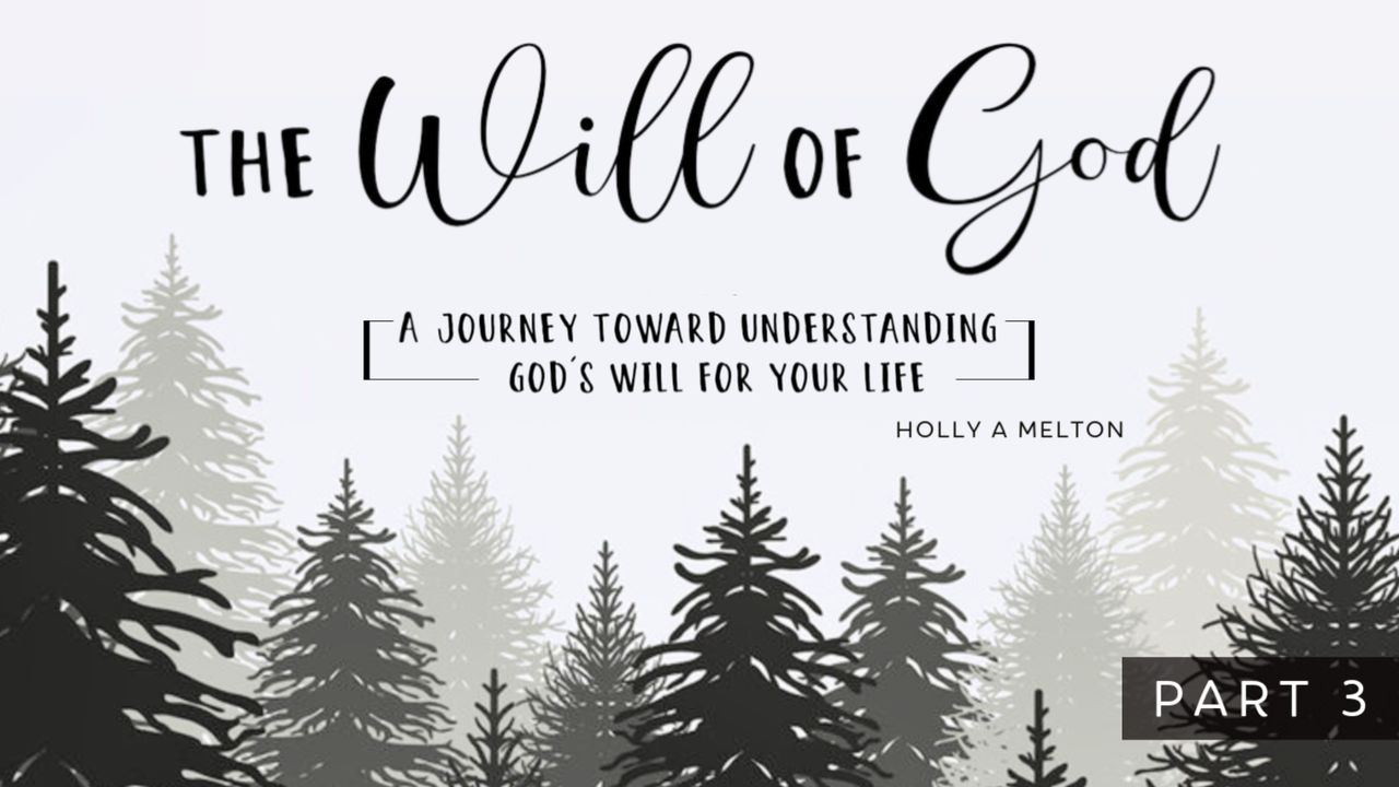 The Will of God: Part 3