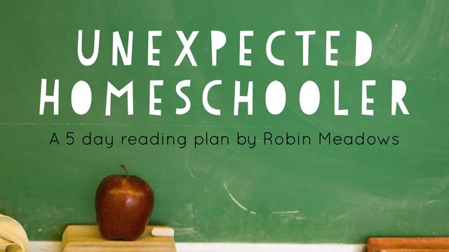 Догги за компьютером. Сёстры сэмми и джоуи уайт sami joey white. Doge so wow. Doge мемы. Such hard.