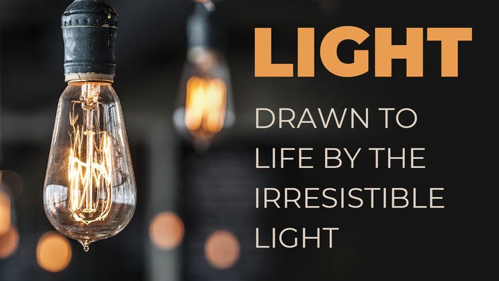 LIGHT - Drawn to Life by the Irresistible Light