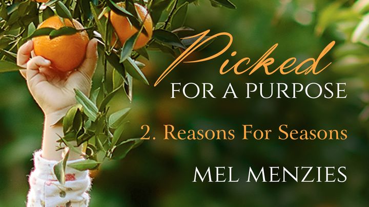Picked For A Purpose Two: Reasons For Seasons